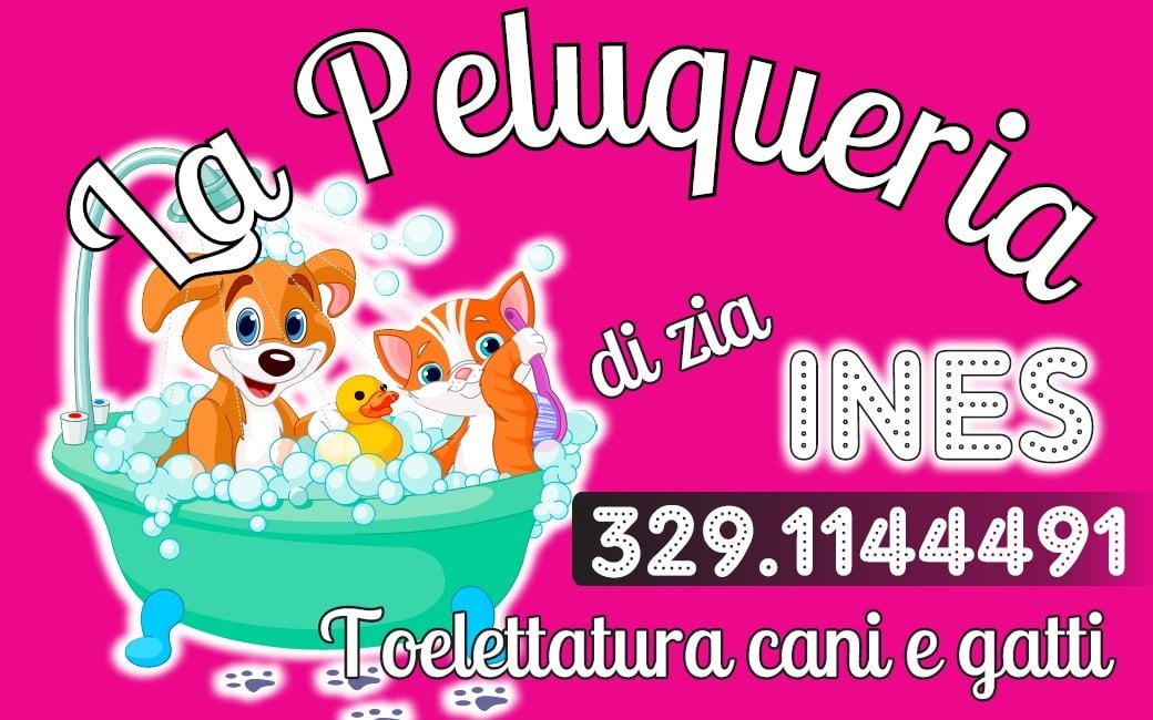 La peluquería di zia Ines