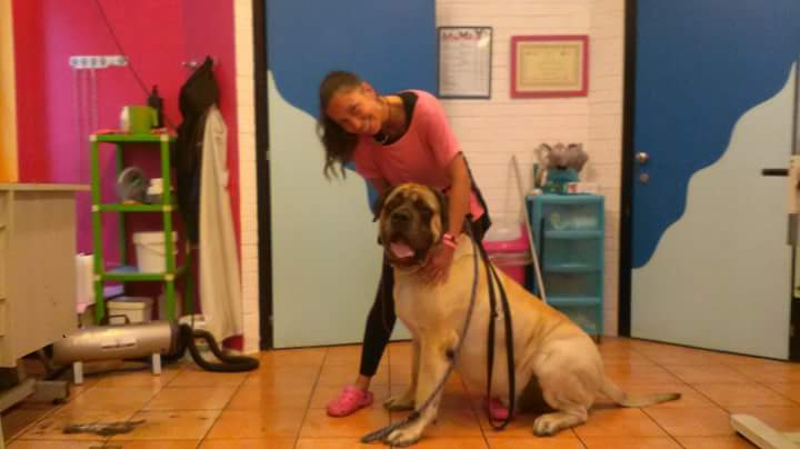 Chi non ha mai avuto un cane, non sa cosa significhi essere amato...