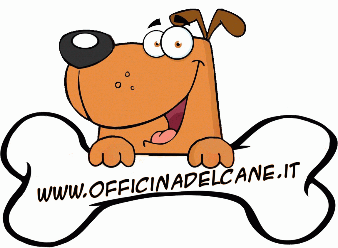 Toelettatura officina del cane