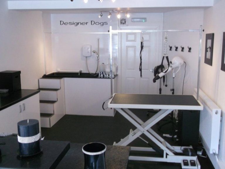 Spazzola Da Parete Per Gatti - 2 Pezzi Con Custodia Ed Erba Gatta, Per Toelettatura E Massaggio - Foto 8