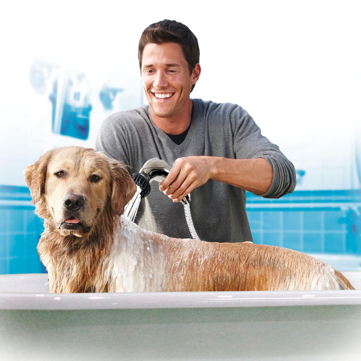 Mai usare lo shampoo e i saponi ad uso umano per fare il bagno a cani e gatti