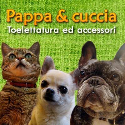 Pappa & Cuccia
