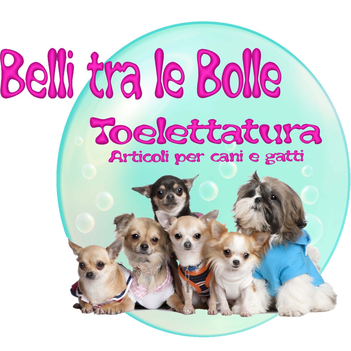 Belli Tra Le Bolle Toelettatura
