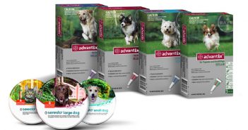 Advantix e Seresto contro Pulci, Zecche e rischio di Leishmaniosi Advantix e Seresto Bayer