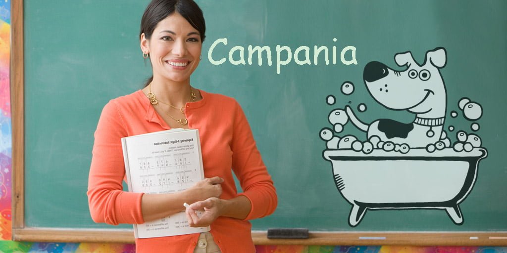 Corsi Scuole Toelettatura Toelettatore Campania