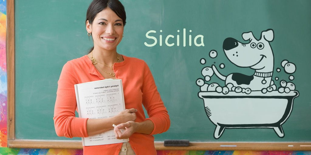 Corso Scuola Toelettatura Toelettatore Sicilia