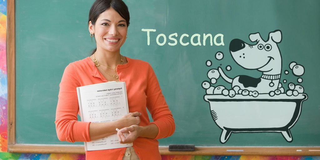 Corso Scuola Toelettatura Toelettatore Toscana