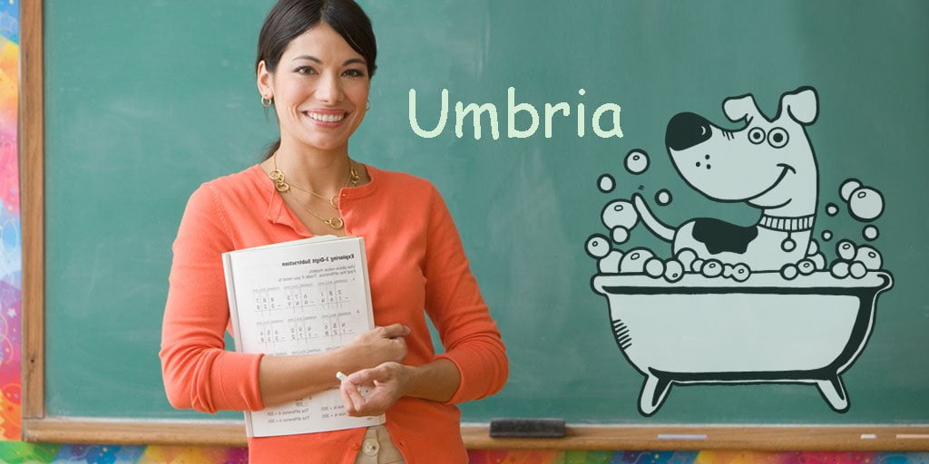 Corso Scuola Toelettatura Toelettatore Umbria