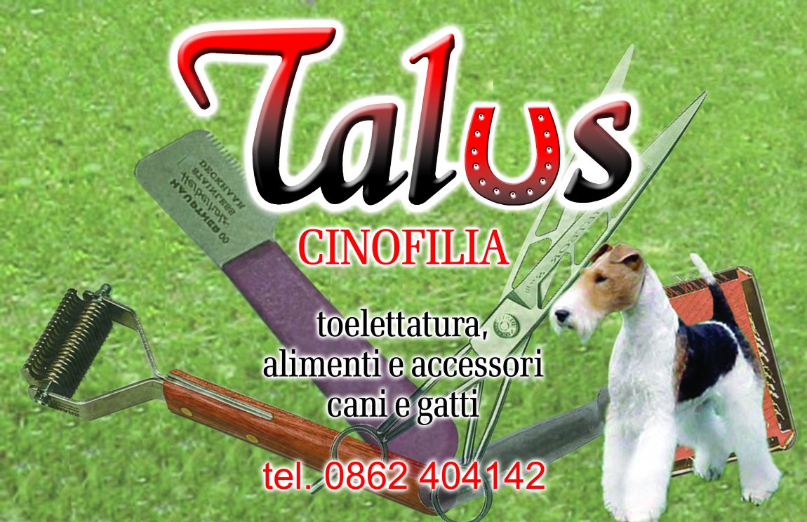 Talus dei F.lli Di Pompeo & C. Snc