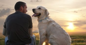 Cani come probiotici, vivere con loro per migliorare il nostro benessere Cane in Famiglia