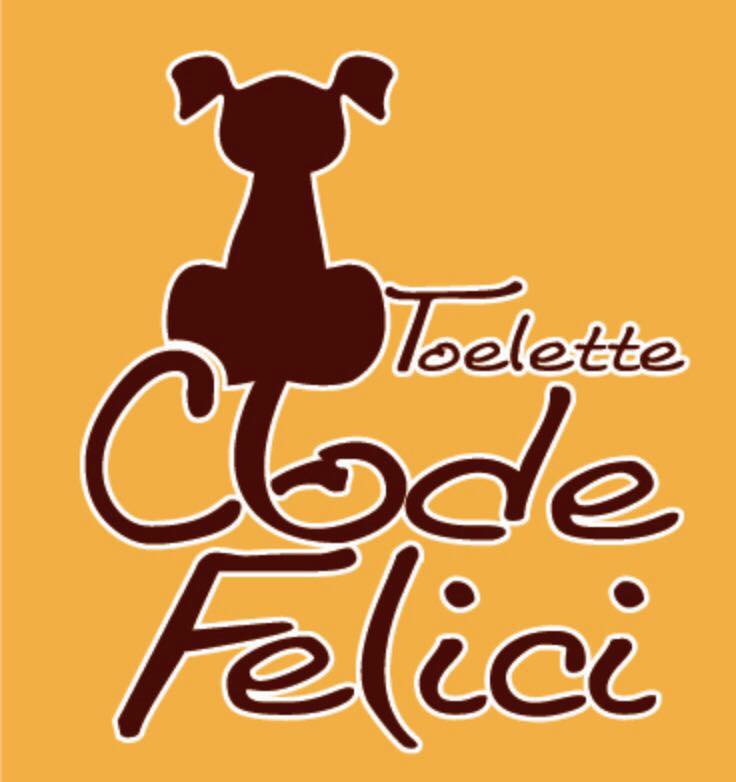 Code Felici