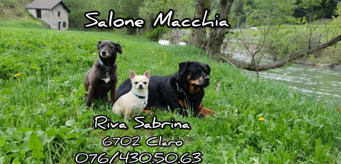 Salone Macchia