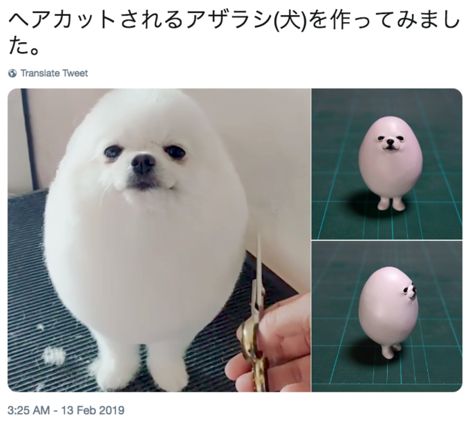 PomPom il Cane Uovo di Singapore
