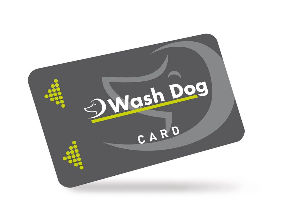 Wash Dog Card