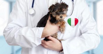Decreto Rilancio Italia: credito d’imposta per spese veterinarie Veterinario