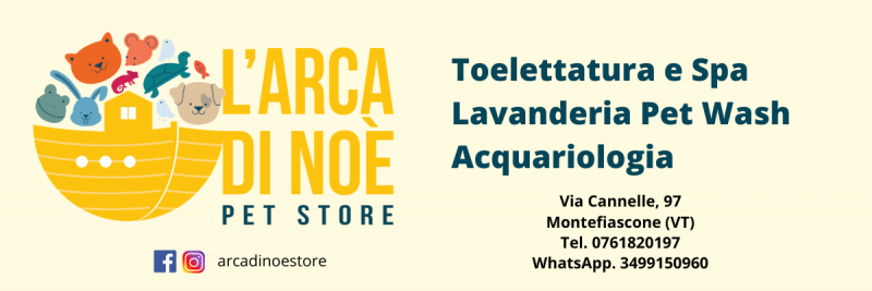 Toelettatura L’Arca Di Noè